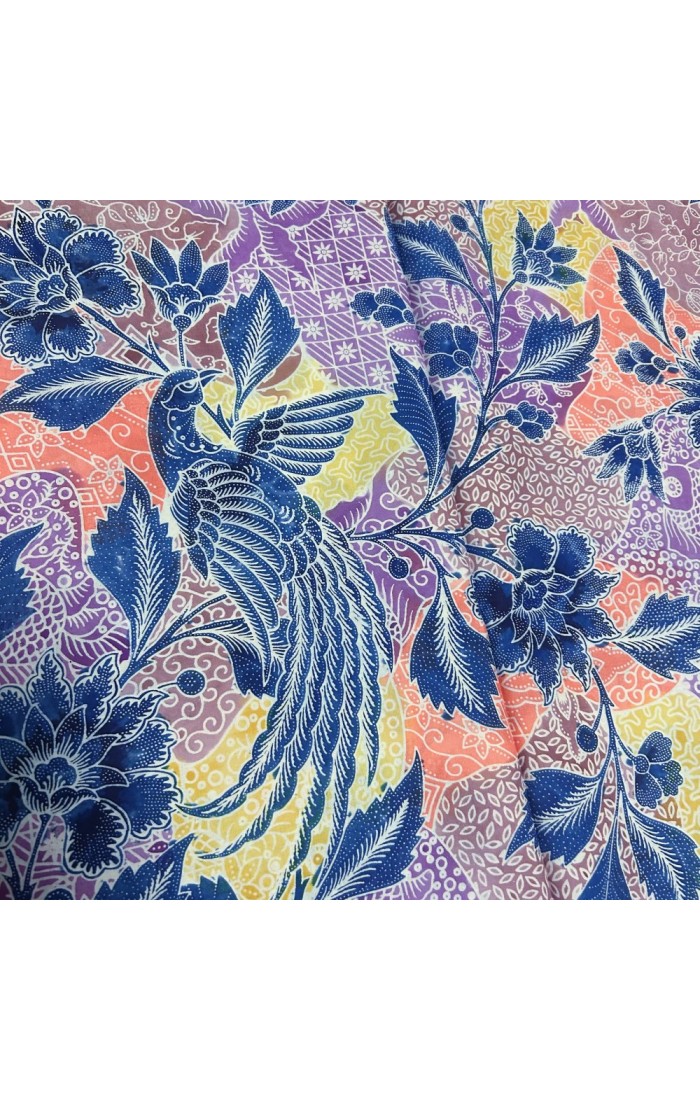 Song of Birds - Multi